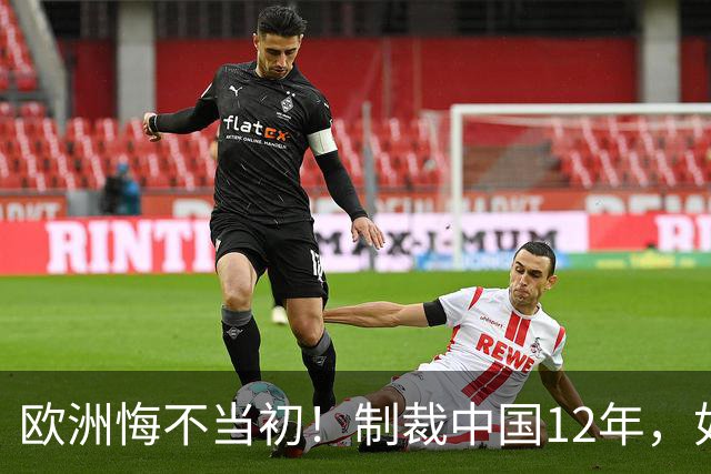 欧洲悔不当初！制裁中国12年，如今被迫取消，因为已无厂可保护